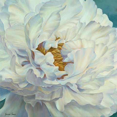 Peony Petals White Modern Wood Framed Art Print with Double Matting by Broome, Marianne
