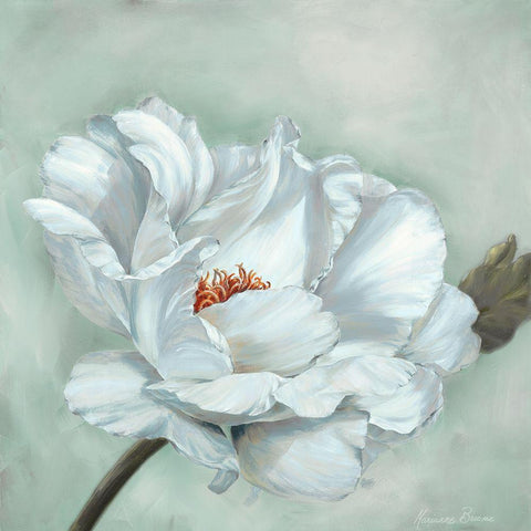 Precious Peony I Black Modern Wood Framed Art Print with Double Matting by Broome, Marianne