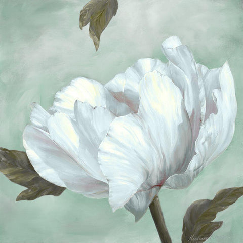 Precious Peony IV White Modern Wood Framed Art Print by Broome, Marianne