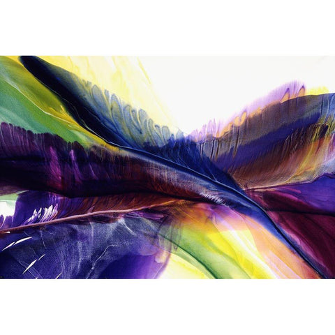 Primordial Place White Modern Wood Framed Art Print by Ridgeway, Bette