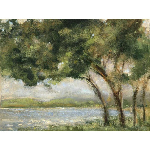 Tree and Clearing Black Modern Wood Framed Art Print with Double Matting by Dolce, Carmen