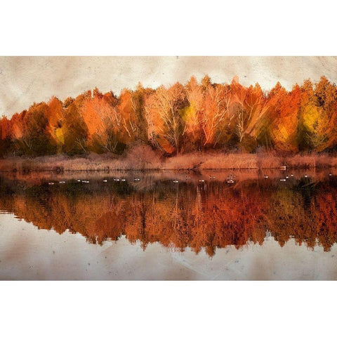 Lang Pix 4  Black Modern Wood Framed Art Print by Clements, Charlotte