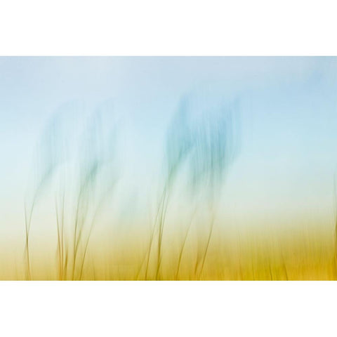 Sunset Air  Black Modern Wood Framed Art Print with Double Matting by Connolly, Karin