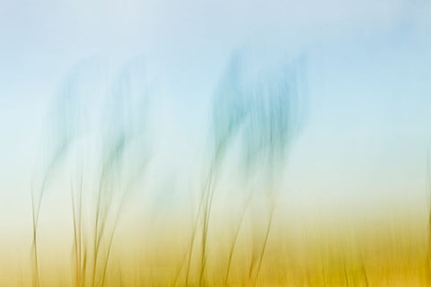 Sunset Air  White Modern Wood Framed Art Print with Double Matting by Connolly, Karin