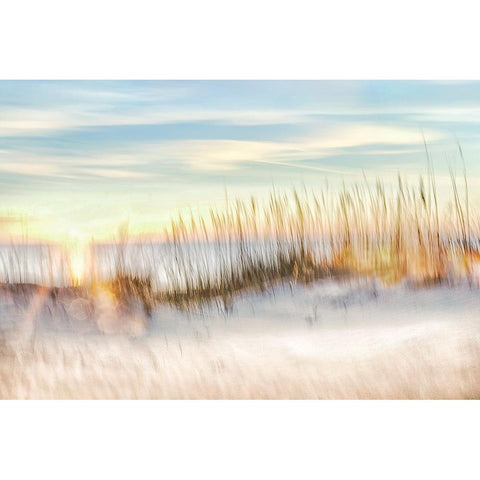 Sunset Beach Walk  White Modern Wood Framed Art Print by Connolly, Karin