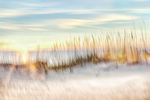 Sunset Beach Walk  White Modern Wood Framed Art Print with Double Matting by Connolly, Karin