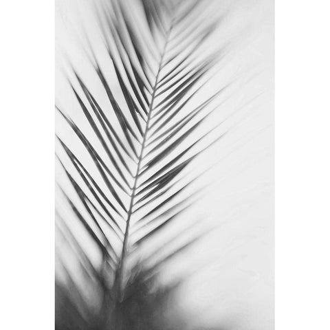 Shade I - B and W Gold Ornate Wood Framed Art Print with Double Matting by McDonald, Catherine