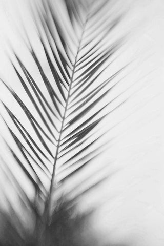 Shade I - B and W White Modern Wood Framed Art Print with Double Matting by McDonald, Catherine