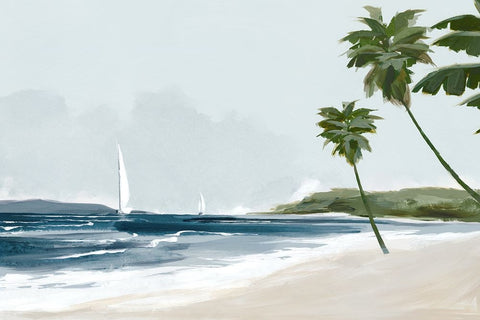 Secluded Palm Beach Black Modern Wood Framed Art Print by Jacob Q