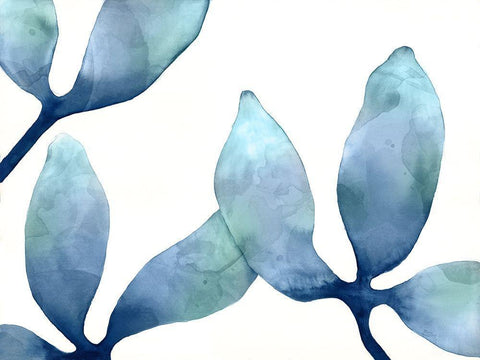 Indigo Blossoms II White Modern Wood Framed Art Print with Double Matting by Hendrick, Cathy