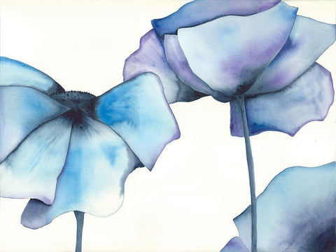 Blue Poppy II Black Ornate Wood Framed Art Print with Double Matting by Hendrick, Cathy