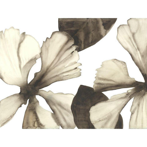Hibiscus I Black Modern Wood Framed Art Print by Hendrick, Cathy