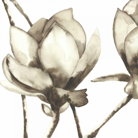 Magnolia I White Modern Wood Framed Art Print by Hendrick, Cathy