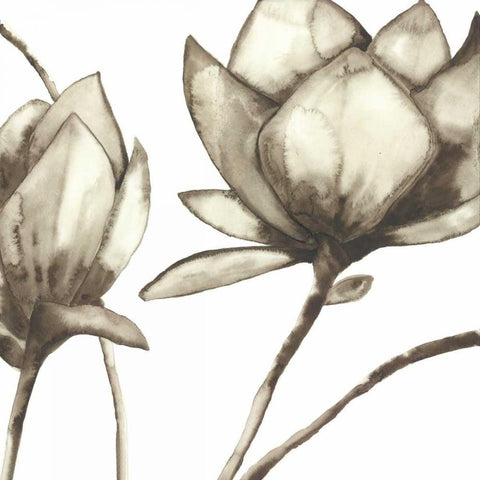 Magnolia II Black Ornate Wood Framed Art Print with Double Matting by Hendrick, Cathy