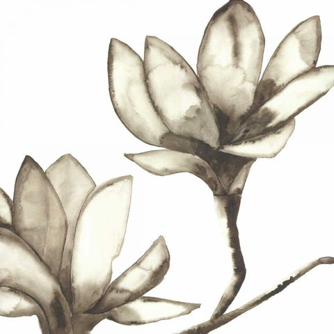 Magnolia III White Modern Wood Framed Art Print by Hendrick, Cathy