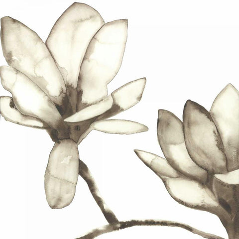 Magnolia IV  White Modern Wood Framed Art Print with Double Matting by Hendrick, Cathy