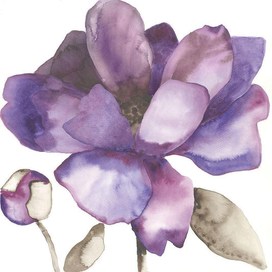 Image Only