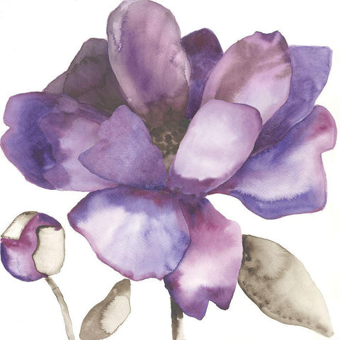 Purple Beauty I White Modern Wood Framed Art Print by Hendrick, Cathy