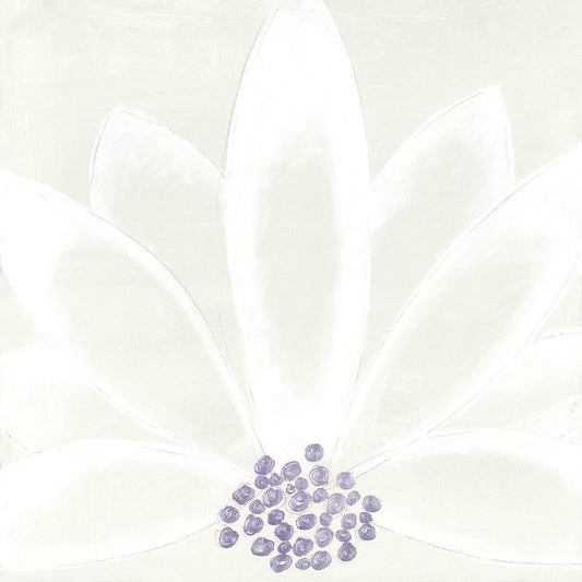 Image Only