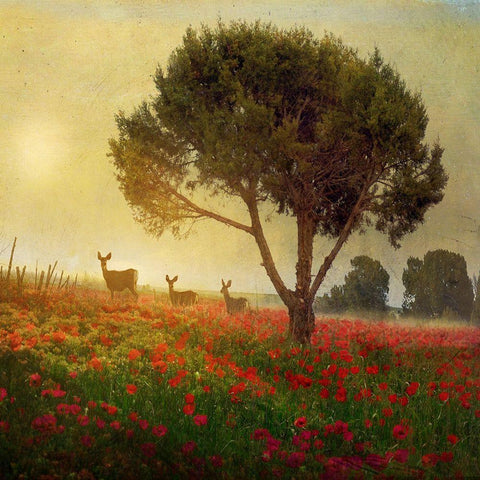 Trees Poppies Deer II Black Modern Wood Framed Art Print by Best, Chris