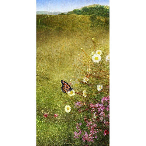 In the Meadow I White Modern Wood Framed Art Print by Vest, Chris