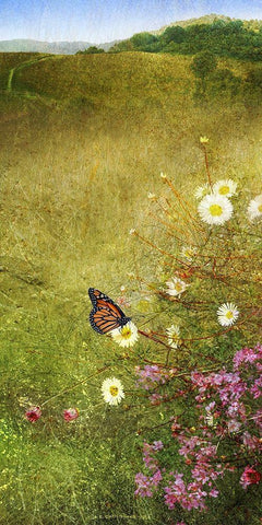 In the Meadow I White Modern Wood Framed Art Print with Double Matting by Vest, Chris