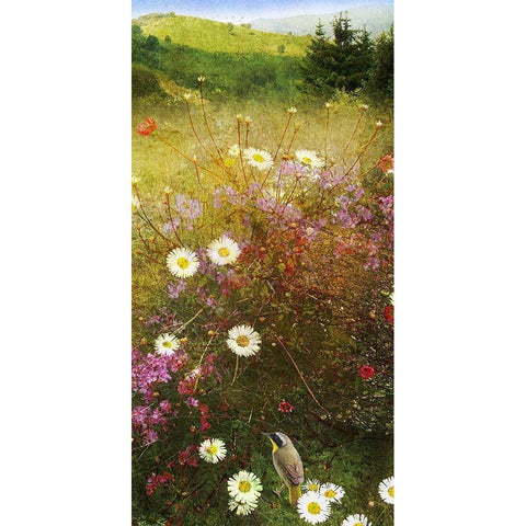 In the Meadow II Gold Ornate Wood Framed Art Print with Double Matting by Vest, Chris
