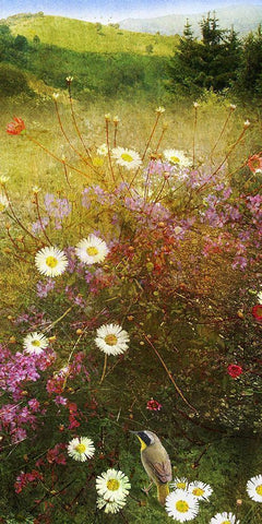 In the Meadow II White Modern Wood Framed Art Print with Double Matting by Vest, Chris