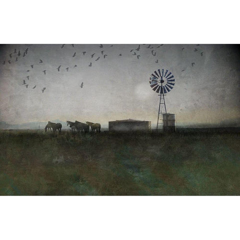 Horse and Crows White Modern Wood Framed Art Print by Vest, Chris