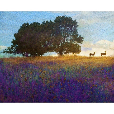 Tree Hill Flowers Gold Ornate Wood Framed Art Print with Double Matting by Vest, Chris