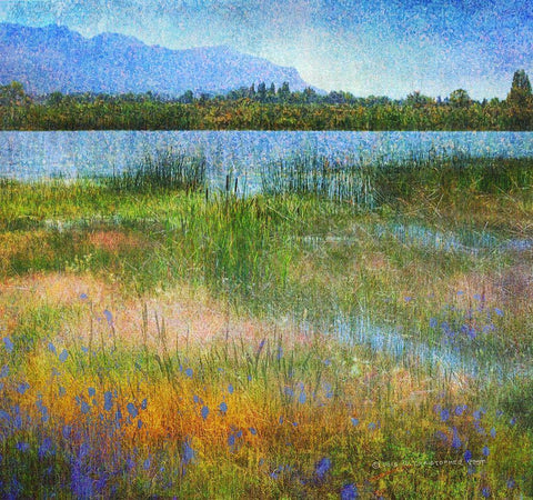 Lake Near Mesa Verde Black Ornate Wood Framed Art Print with Double Matting by Vest, Chris