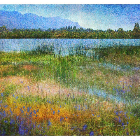 Lake Near Mesa Verde Black Modern Wood Framed Art Print by Vest, Chris
