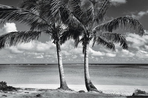 Summer Breezes I Black Ornate Wood Framed Art Print with Double Matting by Frates, Dennis