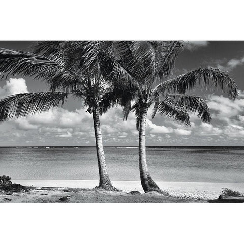 Summer Breezes I Black Modern Wood Framed Art Print by Frates, Dennis