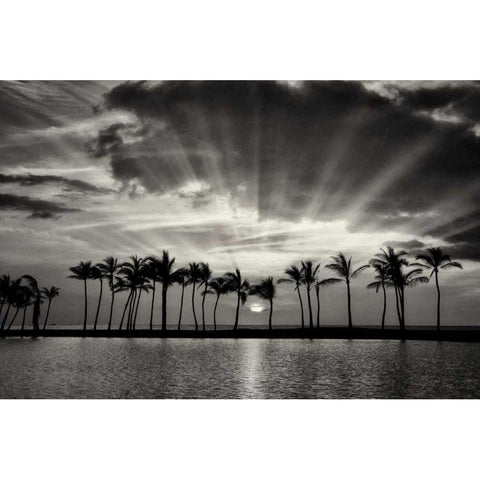 Summer Breezes II Black Modern Wood Framed Art Print by Frates, Dennis
