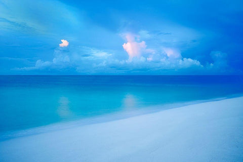 Rays Black Ornate Wood Framed Art Print with Double Matting by Frates, Dennis