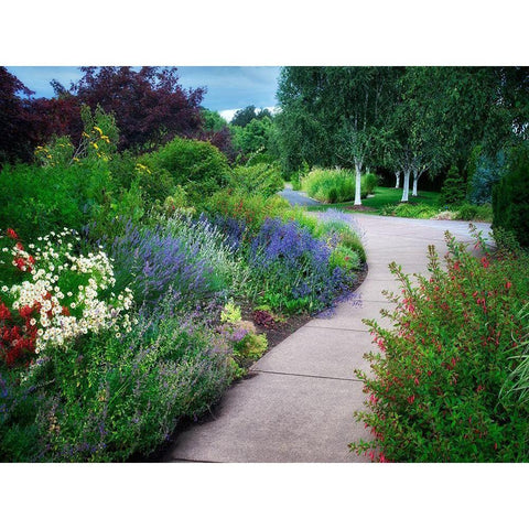 Garden Pathway Black Modern Wood Framed Art Print by Frates, Dennis