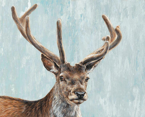 Reindeer  White Modern Wood Framed Art Print with Double Matting by Perejogina, Dina