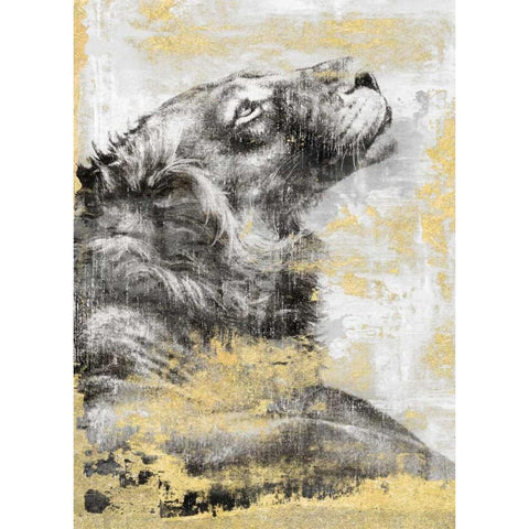 Majesty Black Modern Wood Framed Art Print with Double Matting by Peregojina, Dina