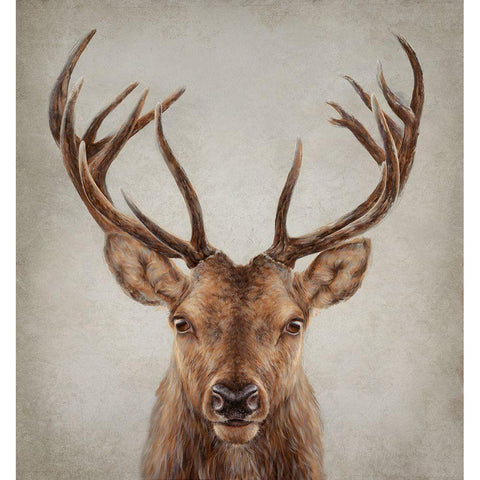 Stag Presence Black Modern Wood Framed Art Print with Double Matting by Perejogina, Dina