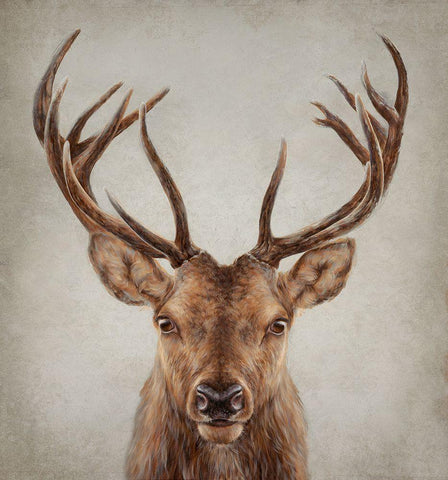 Stag Presence Black Ornate Wood Framed Art Print with Double Matting by Perejogina, Dina
