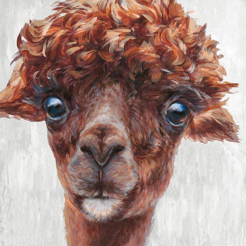 Alpaca I Black Modern Wood Framed Art Print by Perejogina, Dina