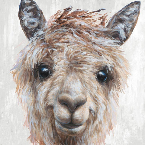 Alpaca II White Modern Wood Framed Art Print by Perejogina, Dina