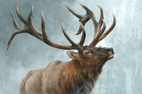 Rising Bull Elk  Black Ornate Wood Framed Art Print with Double Matting by Perejogina, Dina