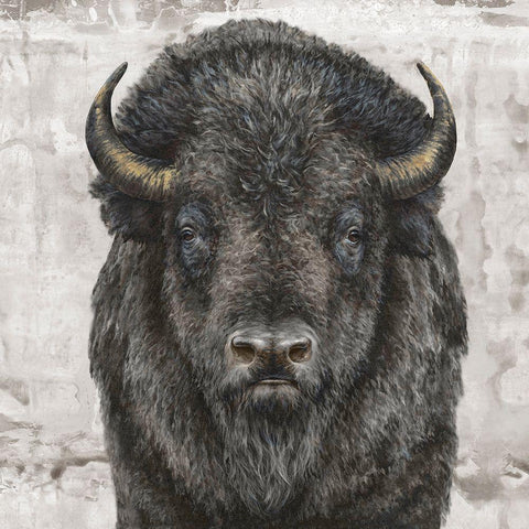 Bison Presence  White Modern Wood Framed Art Print by Perejogina, Dina