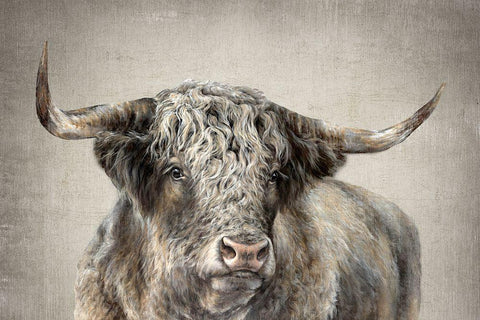 Grand Kyloe Bull  Black Ornate Wood Framed Art Print with Double Matting by Perejogina, Dina