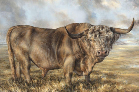 Highland Brown Bull  White Modern Wood Framed Art Print with Double Matting by Perejogina, Dina