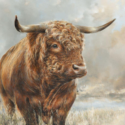 Wild Filed Bull  White Modern Wood Framed Art Print with Double Matting by Perejogina, Dina