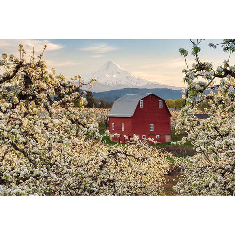 Fairytale Barn Black Modern Wood Framed Art Print with Double Matting by Daultich, Nick