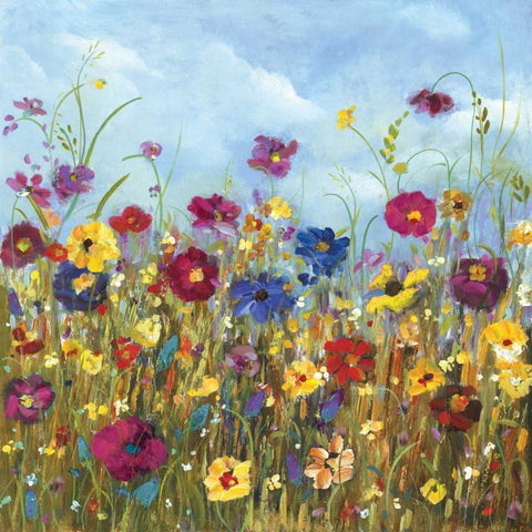 Sunshine Meadow II White Modern Wood Framed Art Print with Double Matting by Dolce, Carmen